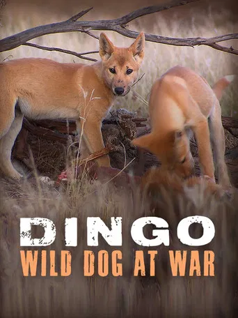 Dingo: Wild Dog at War poster