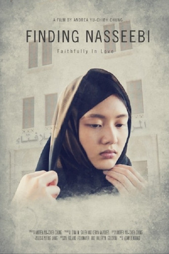 Finding Nasseebi poster