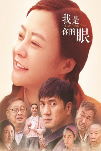 我是你的眼 poster