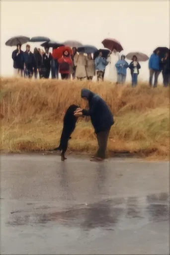 Strada provinciale delle Anime poster