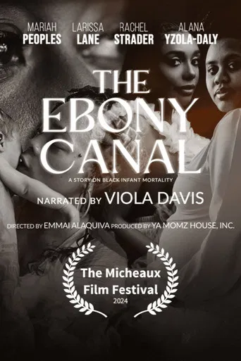 The Ebony Canal: A Story of Black Infant Mortality poster