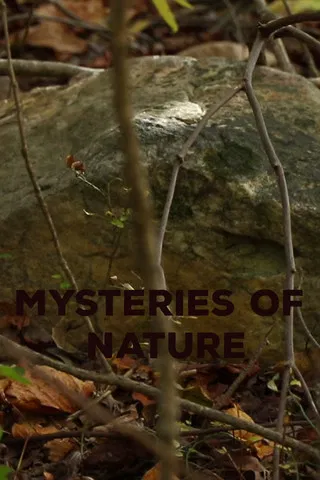 Mysteries of Nature poster