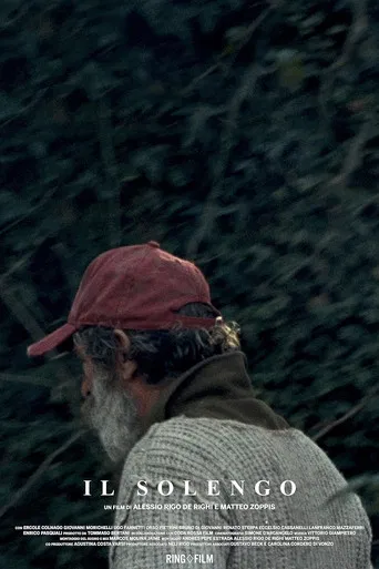 Il solengo poster