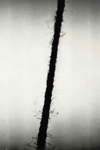 zzz: hamburg special poster