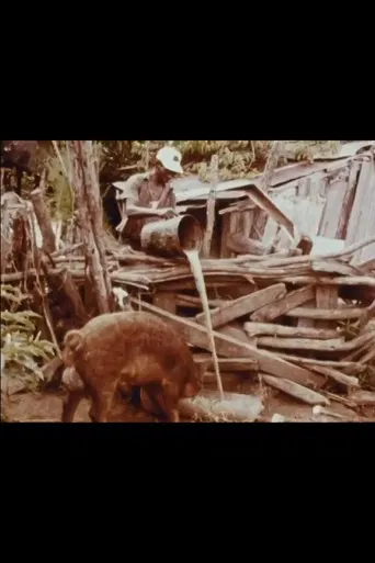 Bottle Up and Go poster