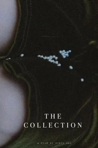 The Collection poster