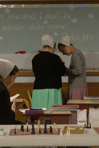 The Amish Dilemma poster