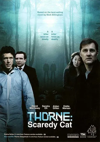 Thorne: Scaredycat poster
