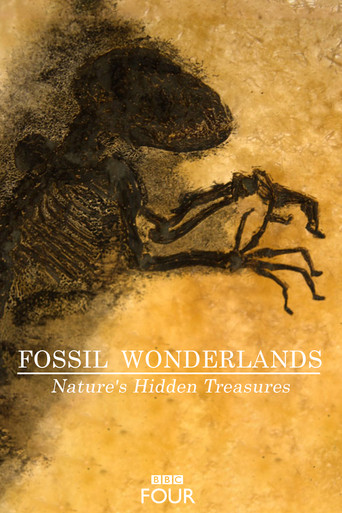 Fossil Wonderlands: Nature's Hidden Treasures poster