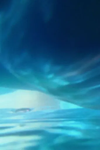 How Much Air Lungs Can Hold poster