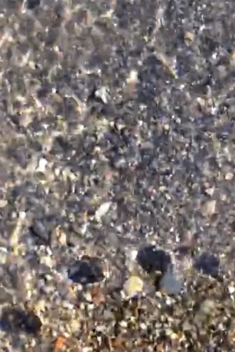 Fading Shade vol.1,2 poster