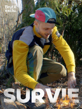 Survie poster