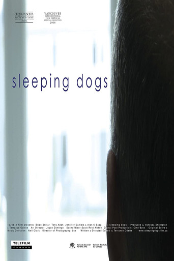 Sleeping Dogs poster