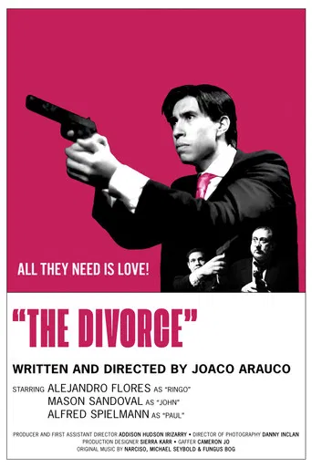 The Divorce poster