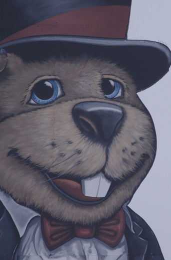 Groundhog Town poster