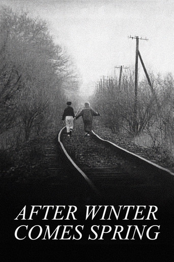 After Winter Comes Spring poster