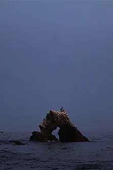 black widow summer set poster