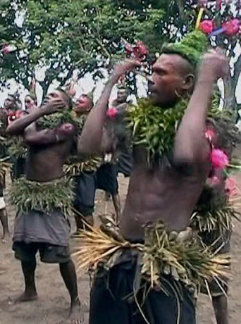 In the Wilderness of a Troubled Genre poster