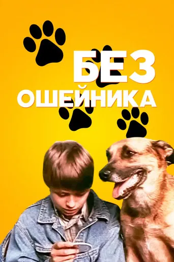 Without a Collar poster