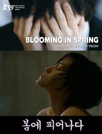 Blooming In Spring poster