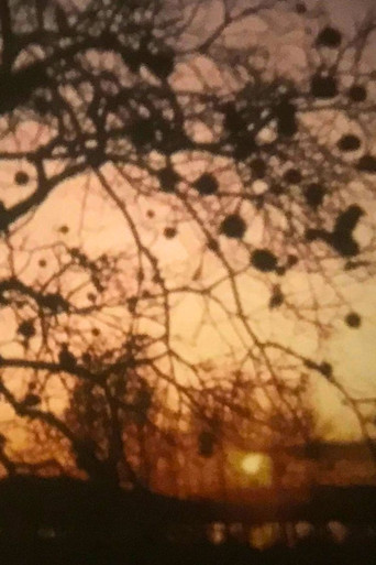 Sole Sole Sole poster