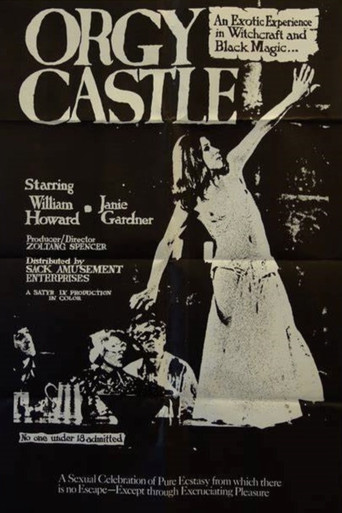 Terror at Orgy Castle poster