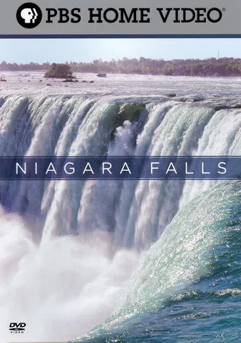 Niagara Falls poster
