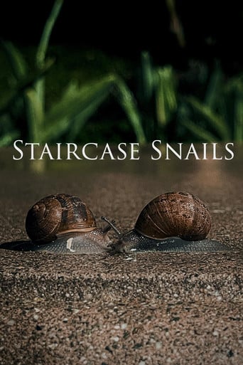 Staircase Snails poster