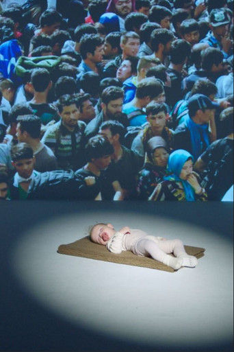 Kitten Or Refugee? poster