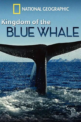 Kingdom of the Blue Whale poster