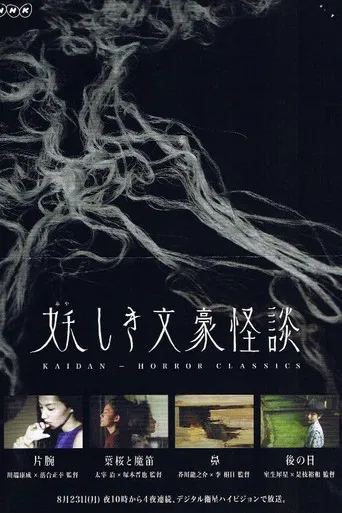 The Days After poster