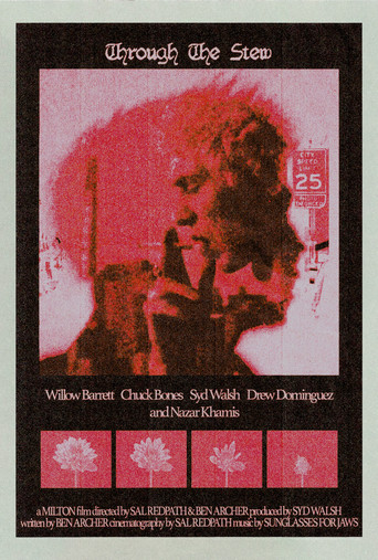 Through the Stew poster