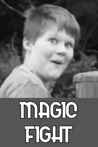 Magic Fight poster