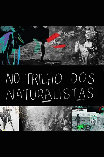 No Trilho dos Naturalistas: Angola poster