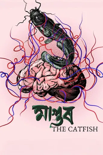The Catfish poster