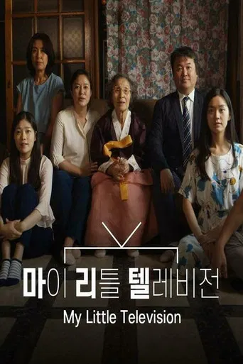 My Little Television poster