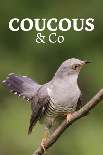 Überraschungseier - Neues von Kuckuck und Co. poster