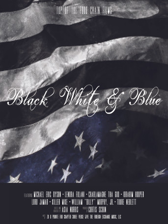 Black, White & Blue poster