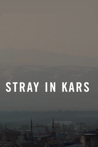 Stray in Kars poster
