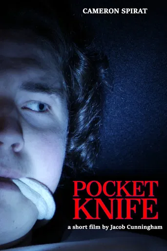 Pocket Knife poster