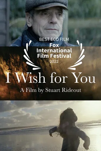 I Wish For You poster