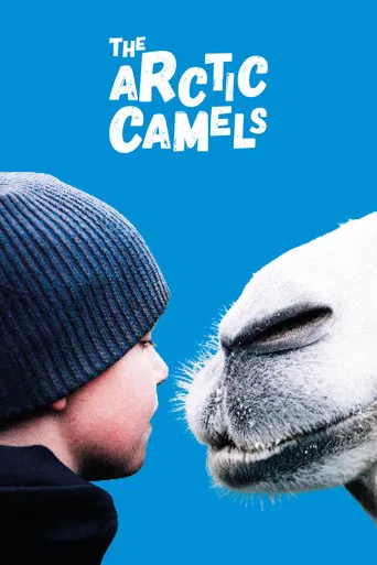 The Arctic Camels poster