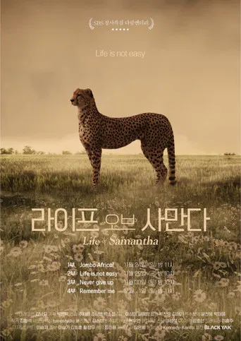 Life of Samantha poster
