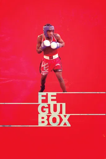 Feguibox poster