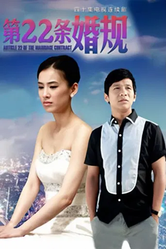 第22条婚规 poster