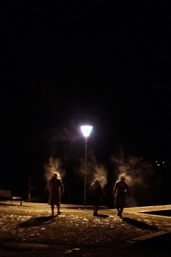 Die Saunagänger vom Attersee poster