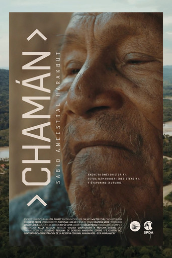 Chamán poster