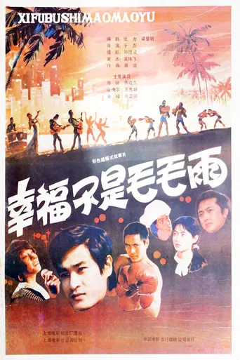 幸福不是毛毛雨 poster