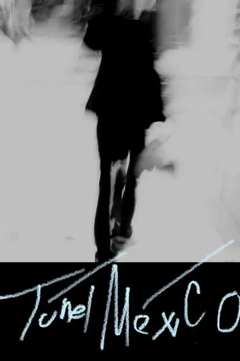 túnel méxico poster