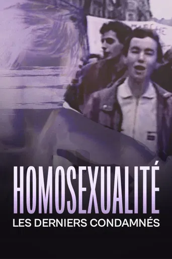 Homosexualité, les derniers condamnés poster